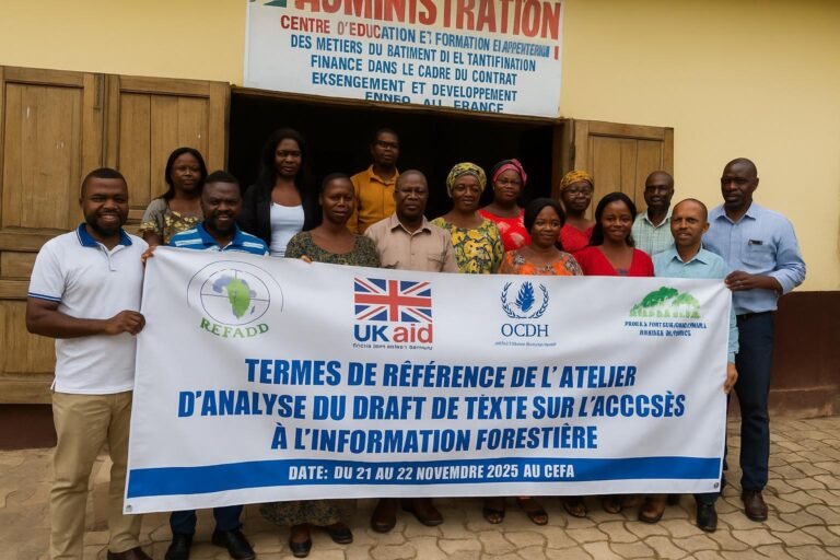 Forêt congolaise : la réforme s’ouvre aux femmes