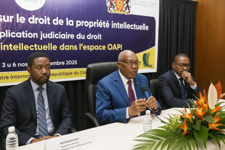 Juges congolais : boost en propriété intellectuelle