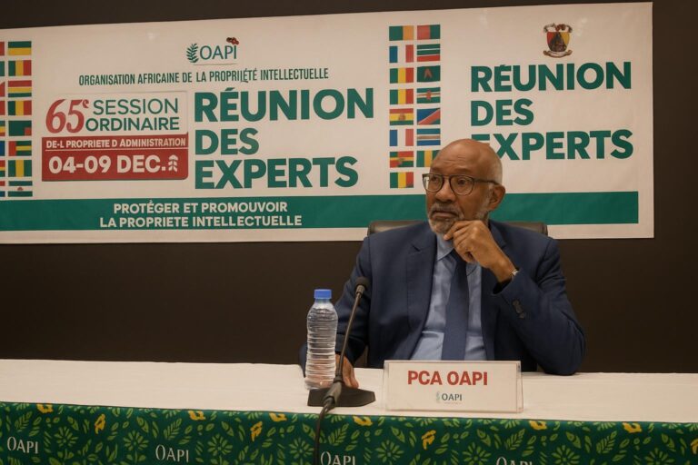 Innovation africaine: Brazzaville trace la voie OAPI